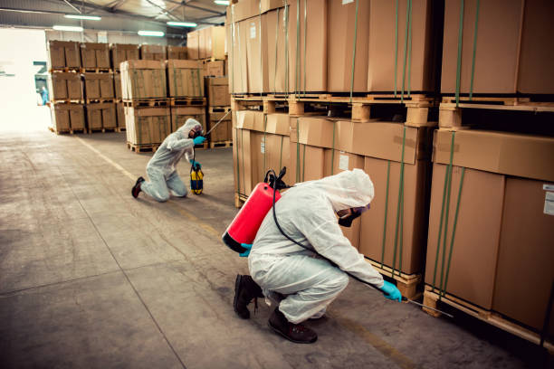 Best Ant Control Services  in Stamps, AR