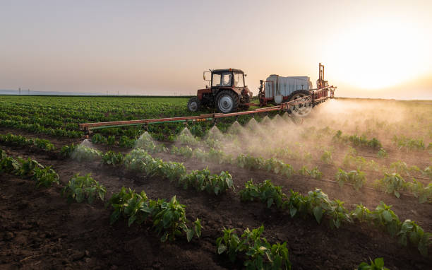 Best Mosquito Control Services  in Stamps, AR
