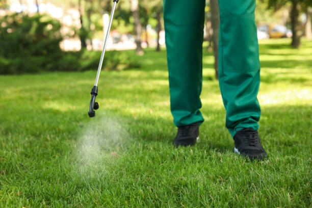 Best Residential Pest Control  in Stamps, AR