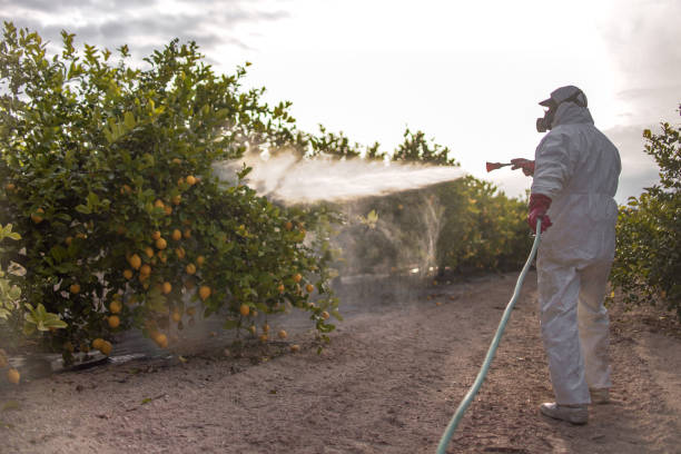 Stamps, AR Pest Control Company