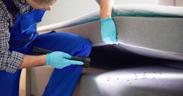 Best Pest Prevention Services  in Stamps, AR