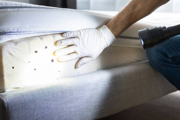 Best Commercial Pest Control Services  in Stamps, AR