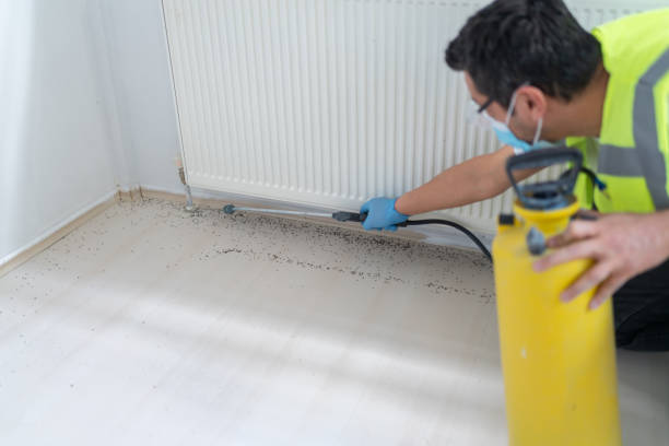 Best Wasp Removal Services  in Stamps, AR